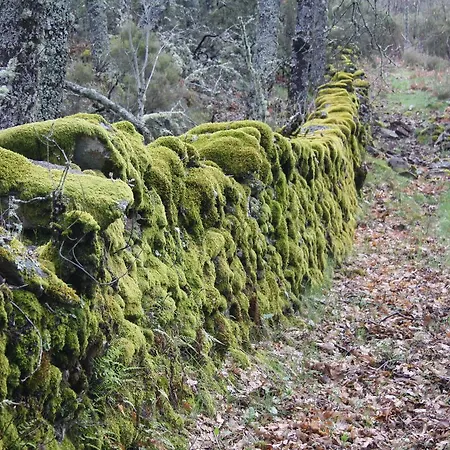 アパート Sierra De Francia