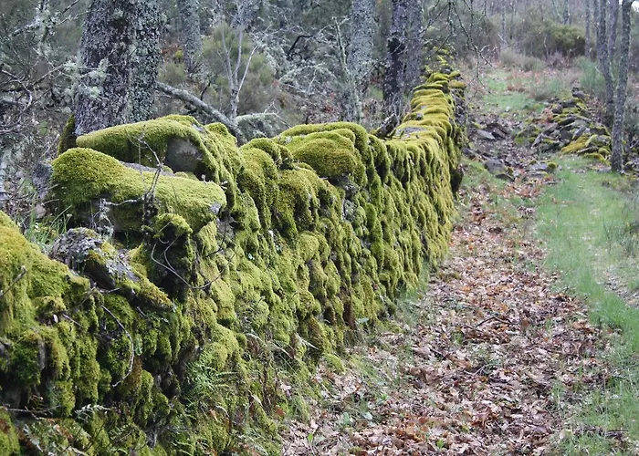 Apartamento Sierra De Francia